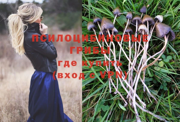 гашиш Алзамай