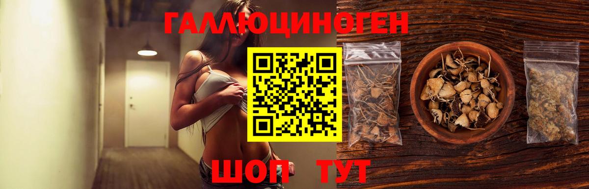 Псилоцибиновые грибы GOLDEN TEACHER Гуково